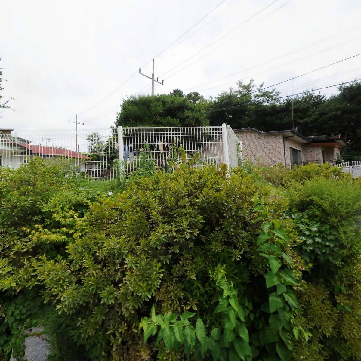 한국로지스체인(주)