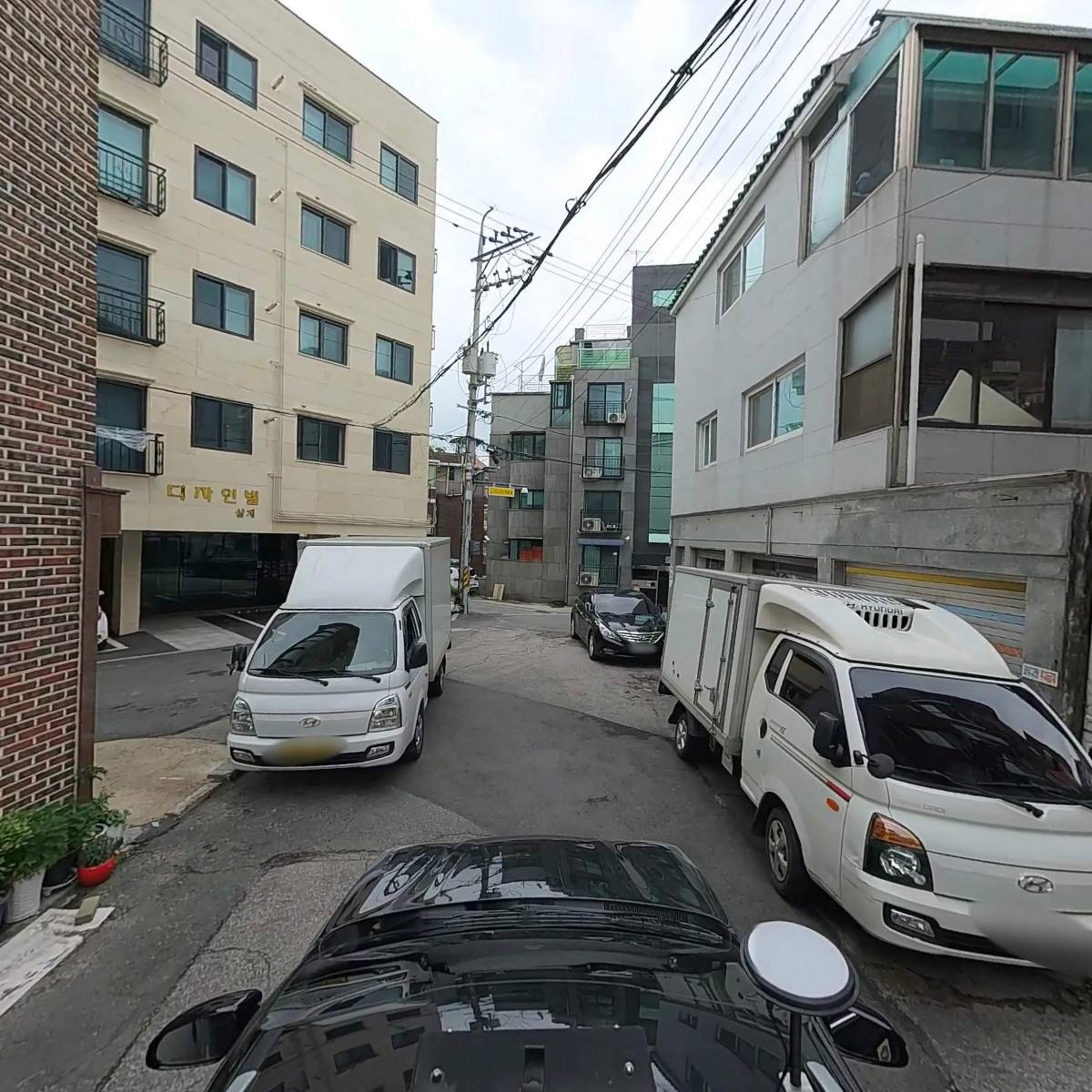 왼손잡이 소녀_4