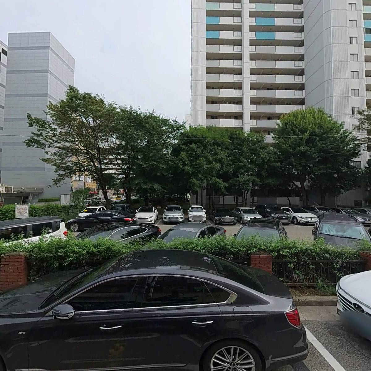 장천