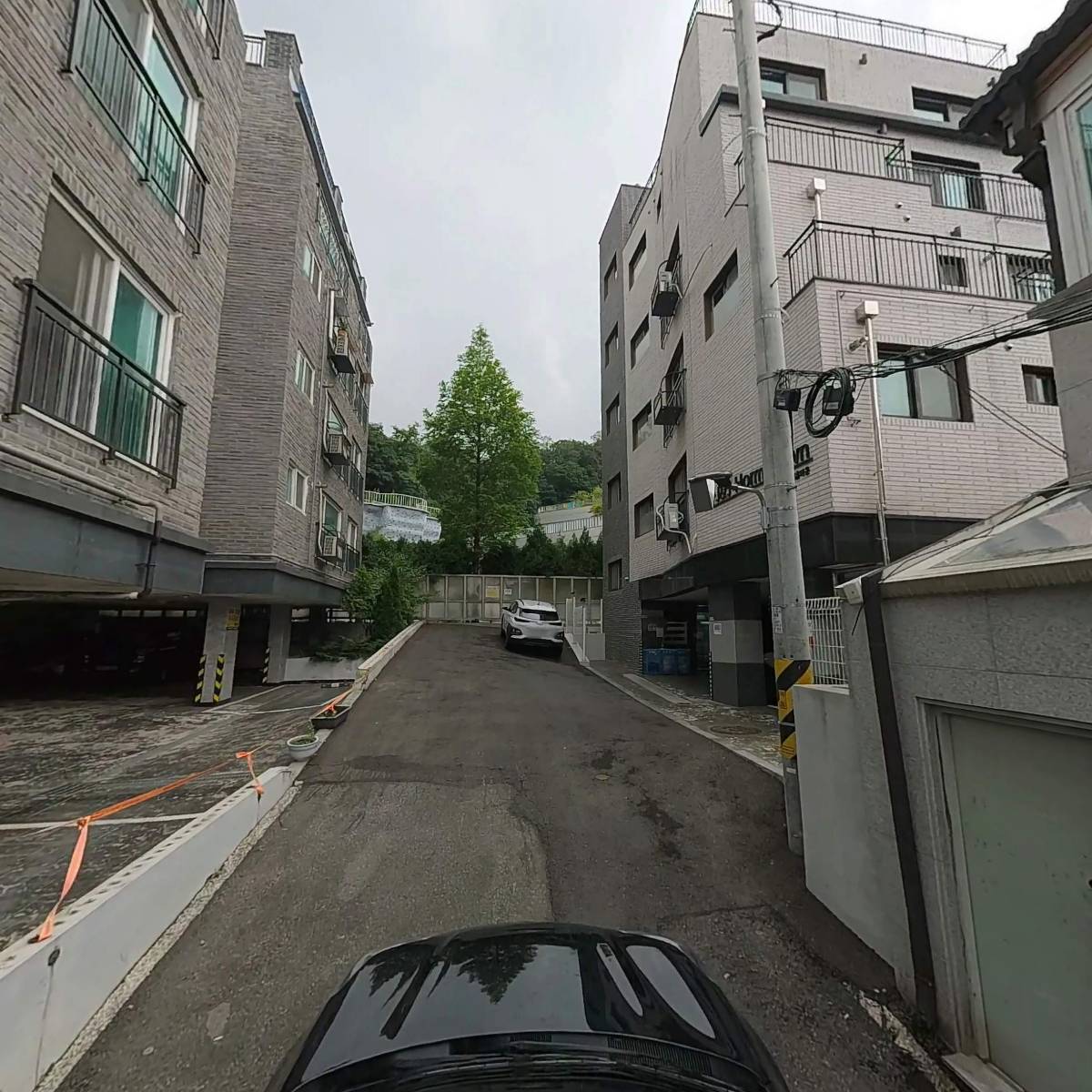 핌피펫마켓_4