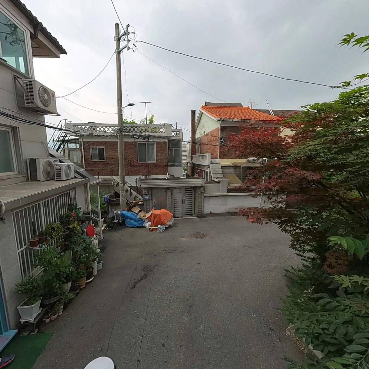 핌피펫마켓_2