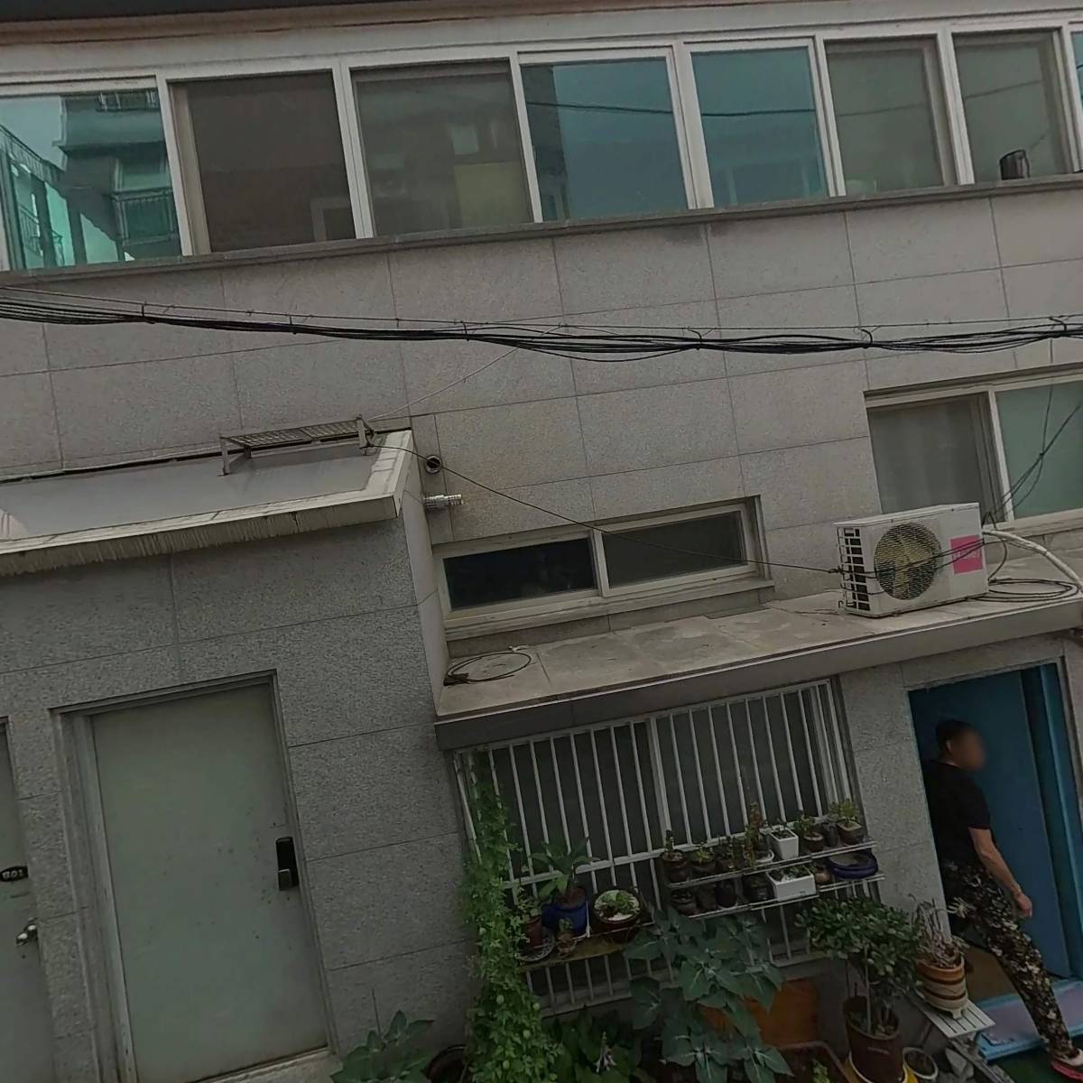 핌피펫마켓
