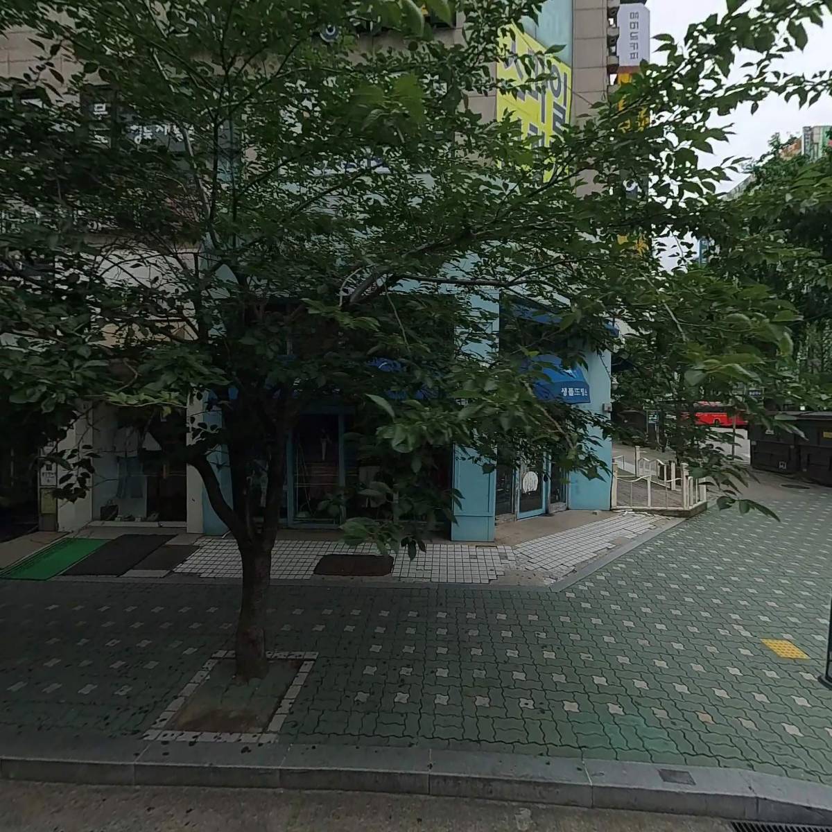 모니크헤어