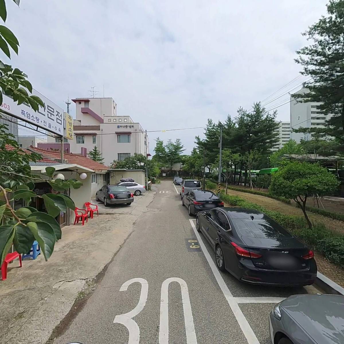 등나무_2