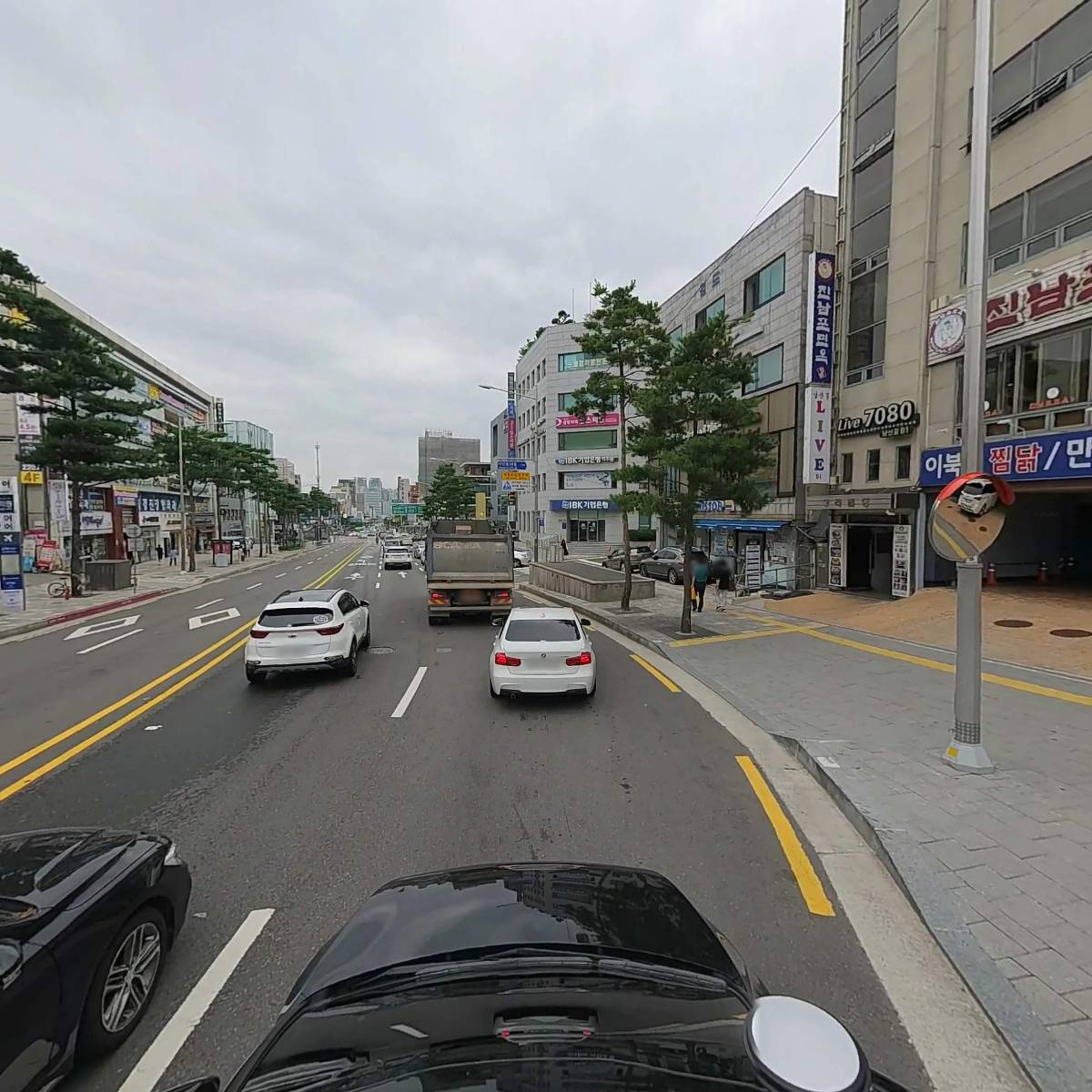 한국라비아벨리댄스협회_4