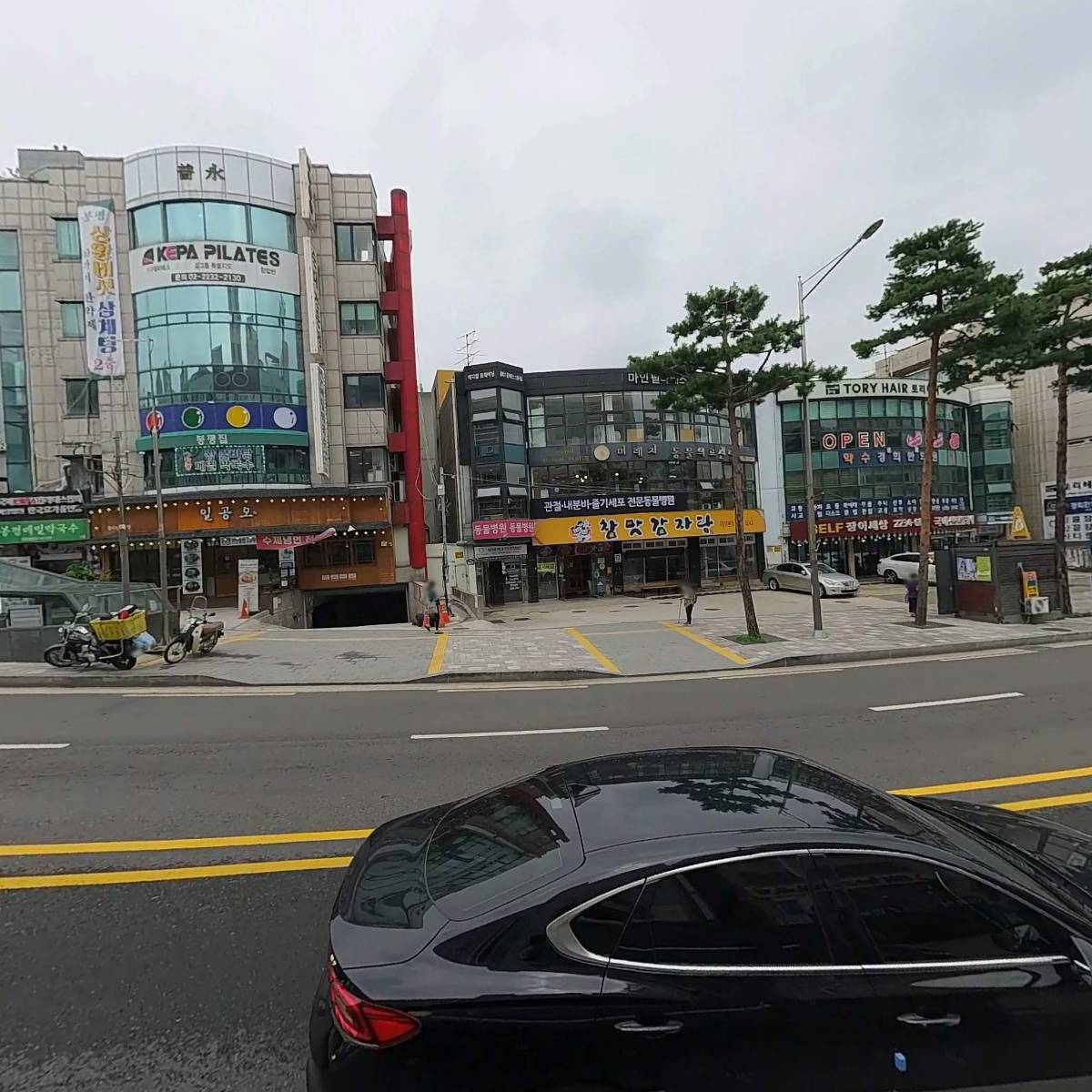한국라비아벨리댄스협회_3