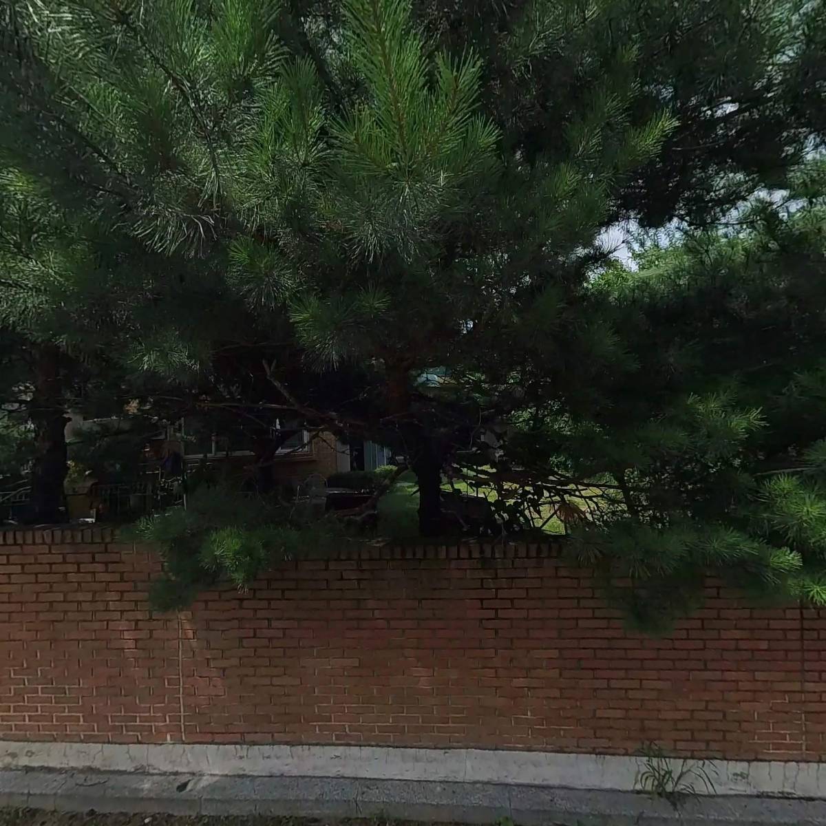 파라피아