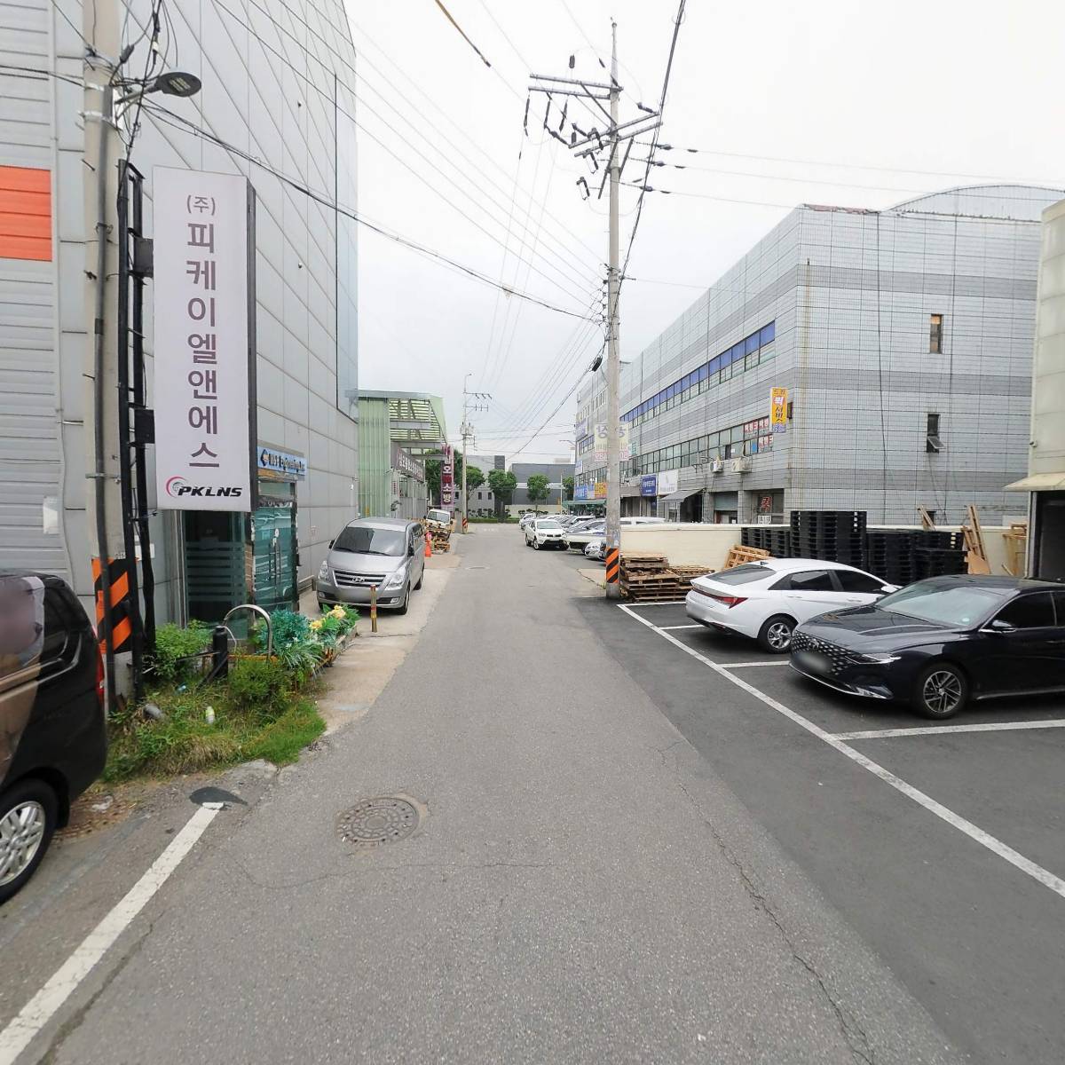 (주)레이덱스_2