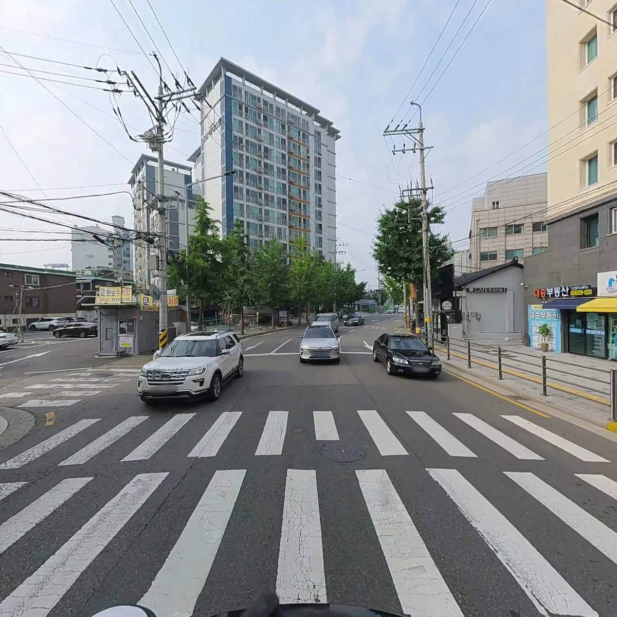 티아이네스트_2