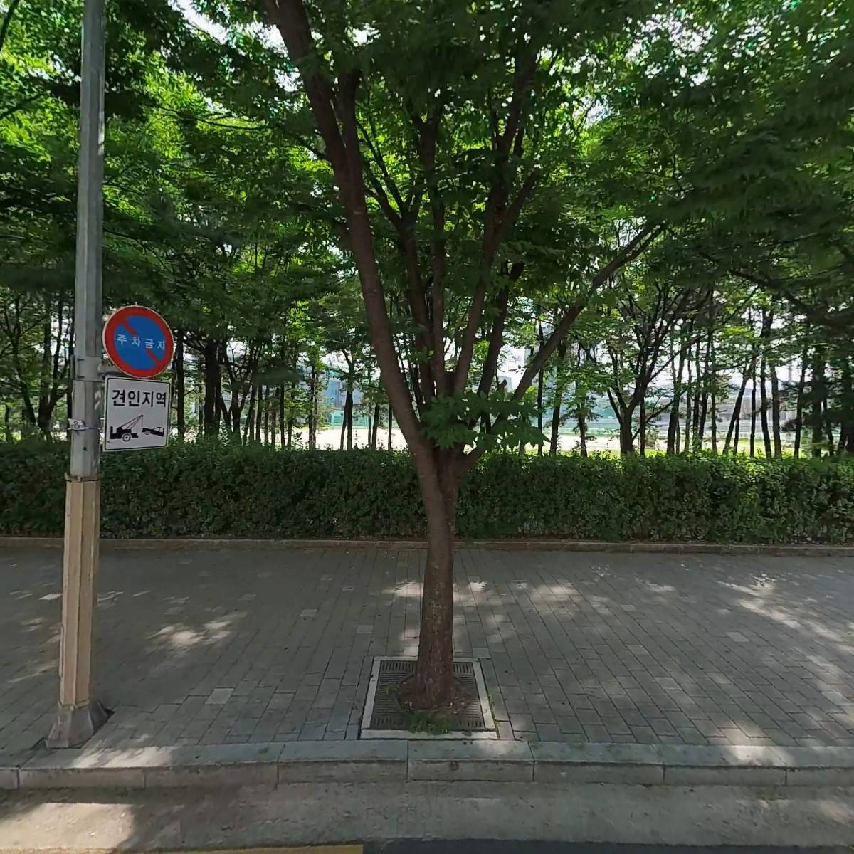 아이라이크케이크
