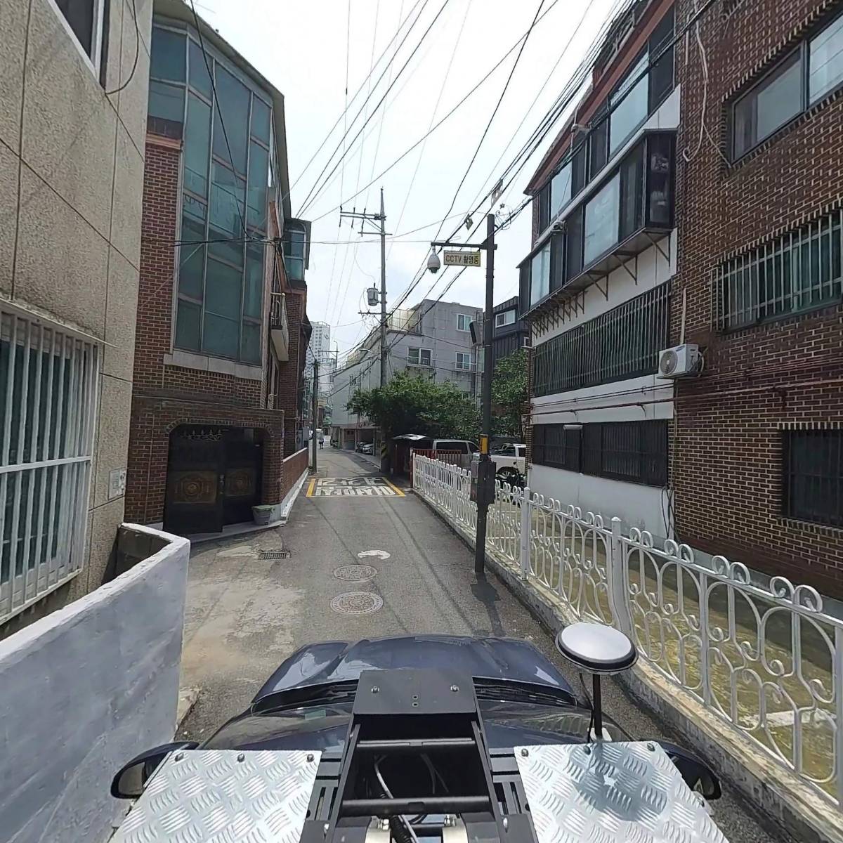 조경나무나라_4