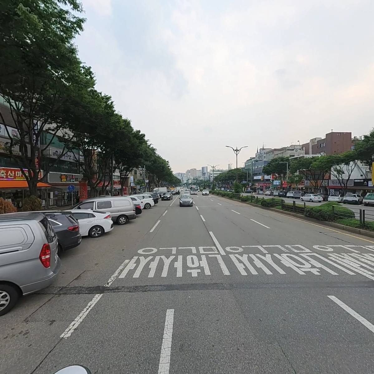 올리비아로렌 성남은행점 크로커다일_2