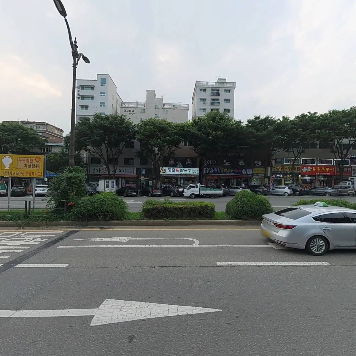 올리비아로렌 성남은행점 크로커다일_3