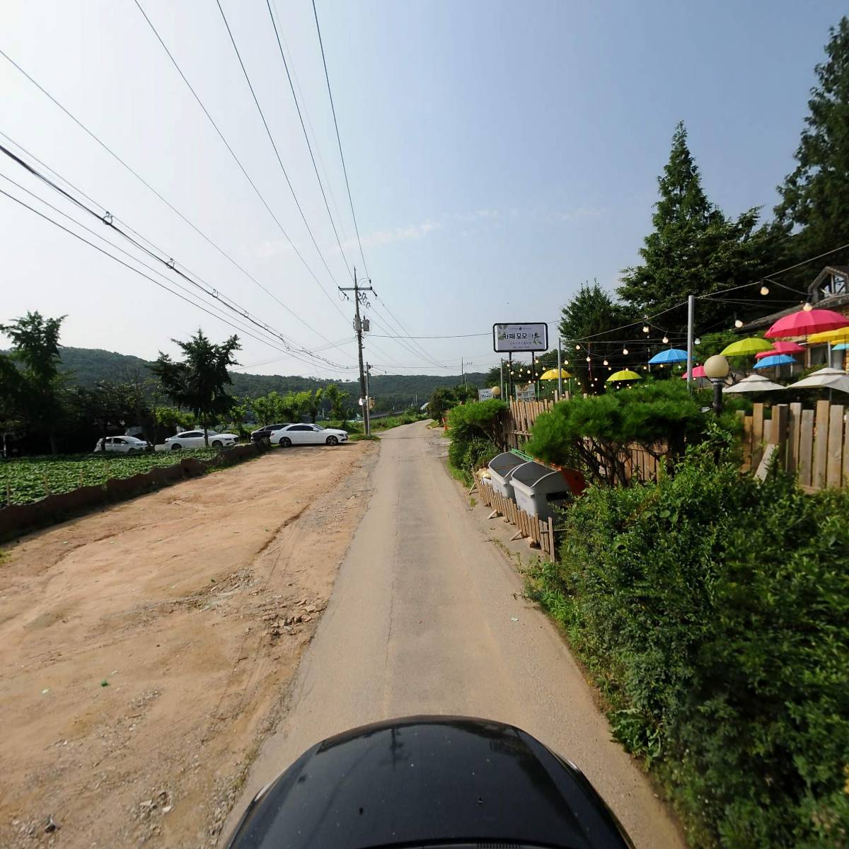 모모아트_4