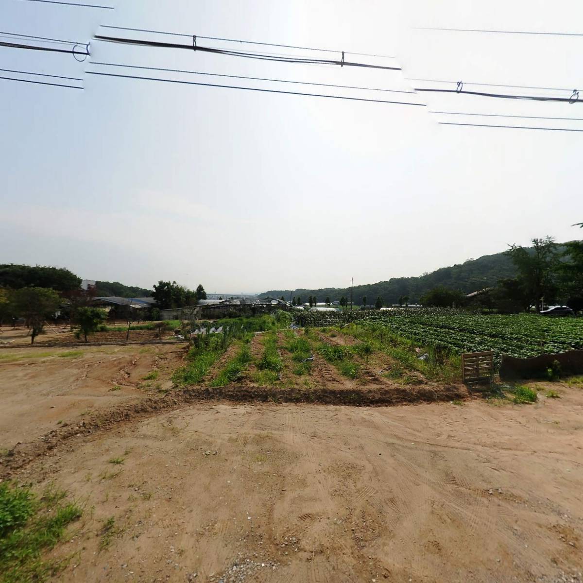 모모아트_3