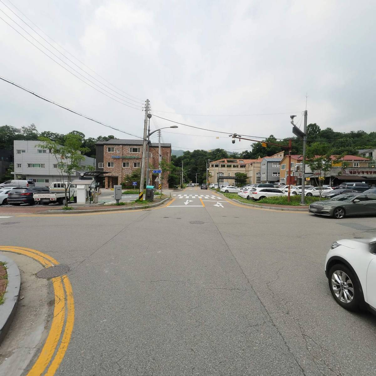 (주)생태조사단_2
