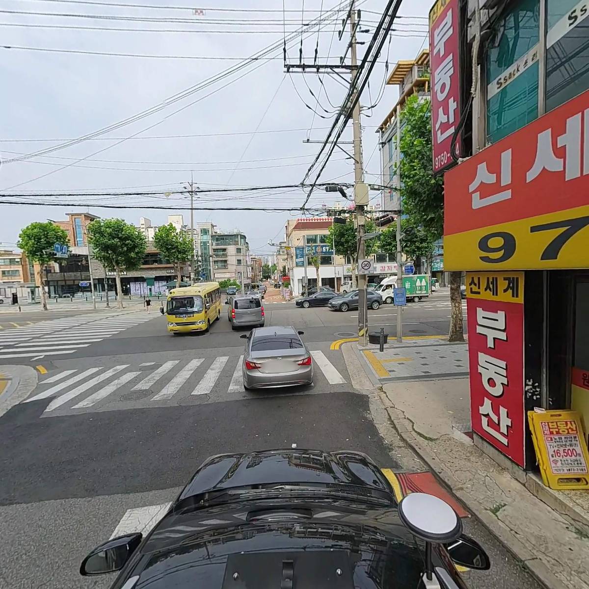 주식회사 제노스템_4