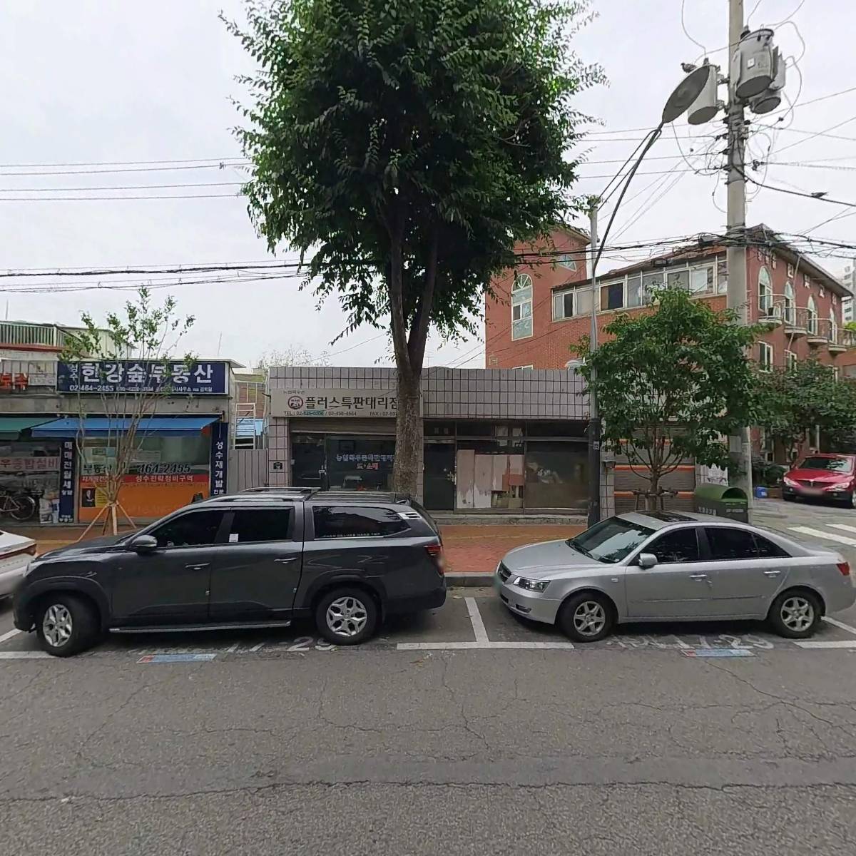 높은산(noppensan)_3