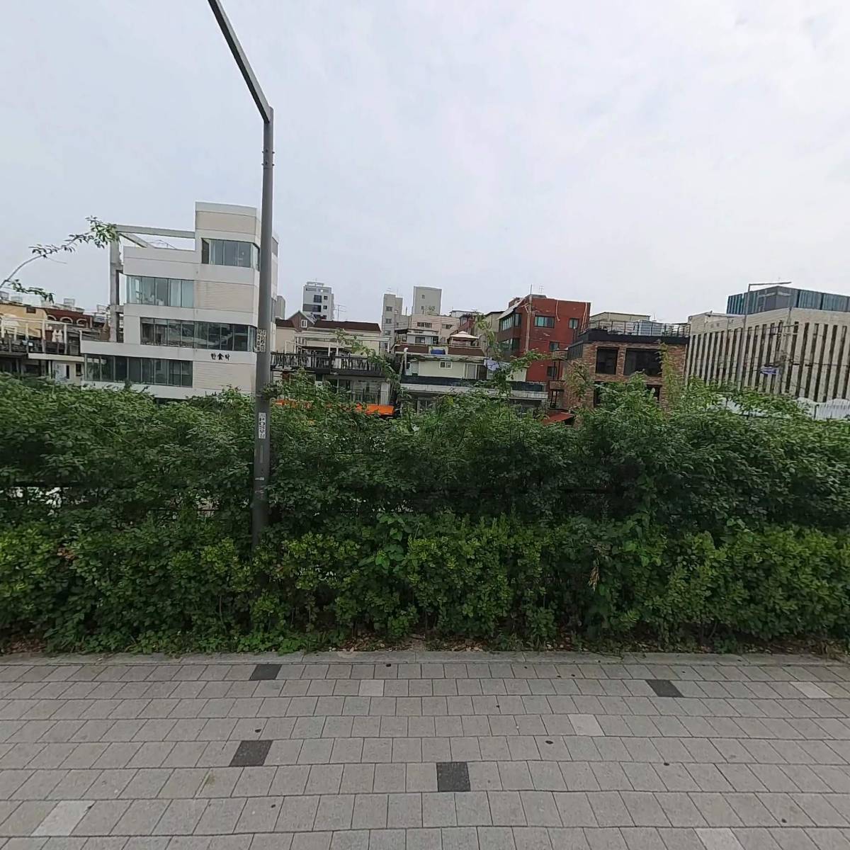 디엠지홀딩스_3