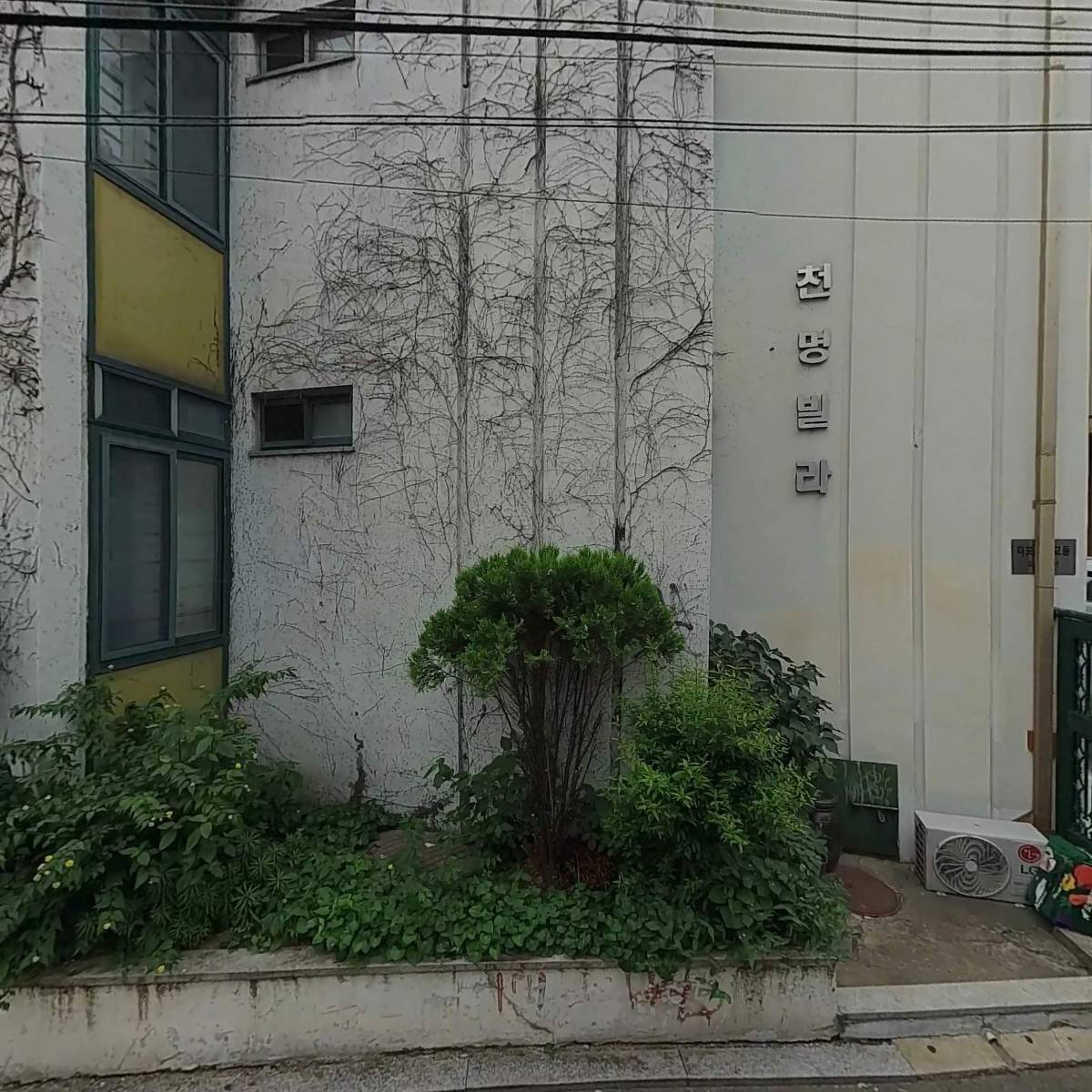 주식회사 산일파마(지점)