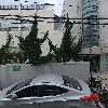로얄동물메디컬센터w