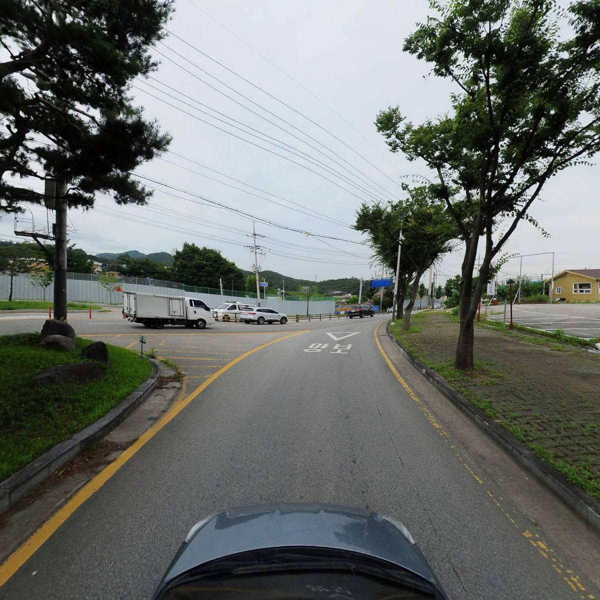 요리와 청춘_4