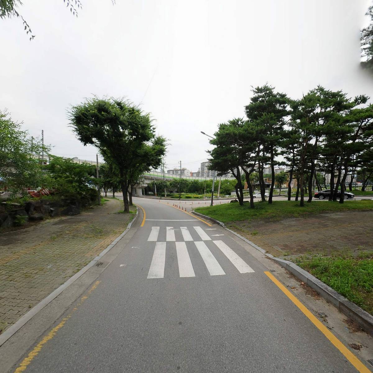 요리와 청춘_2