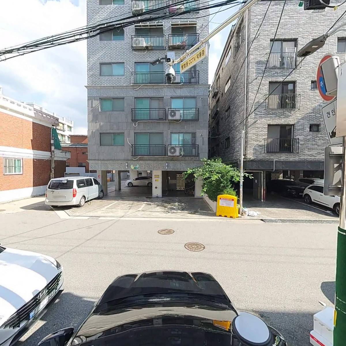 드림_4
