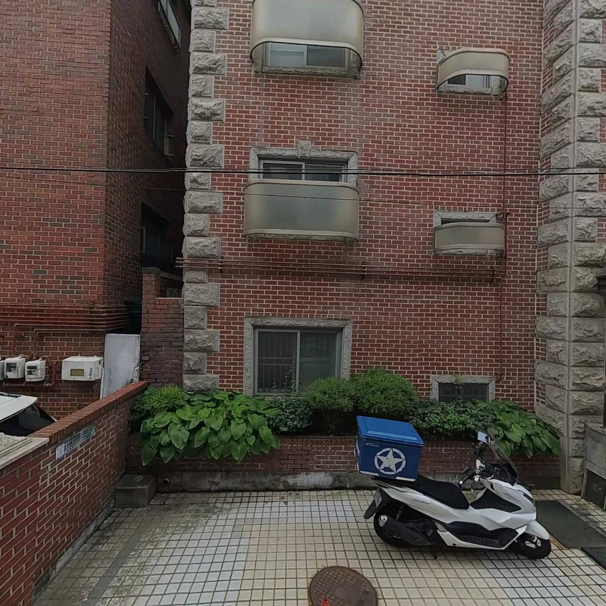 늘팜