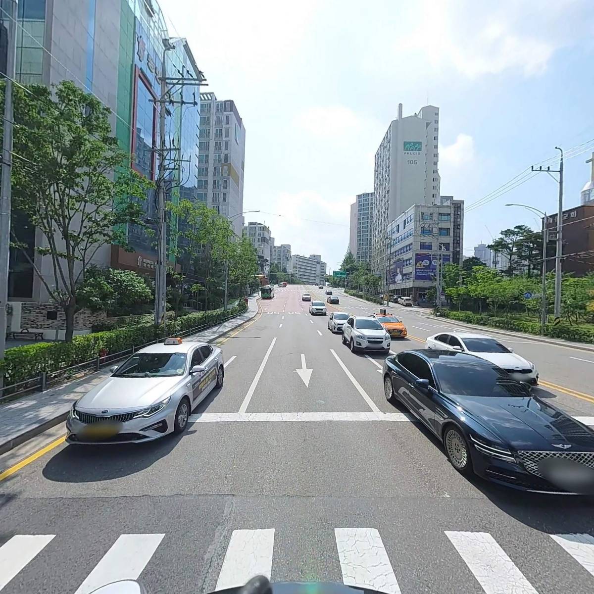 더케이동물병원_2