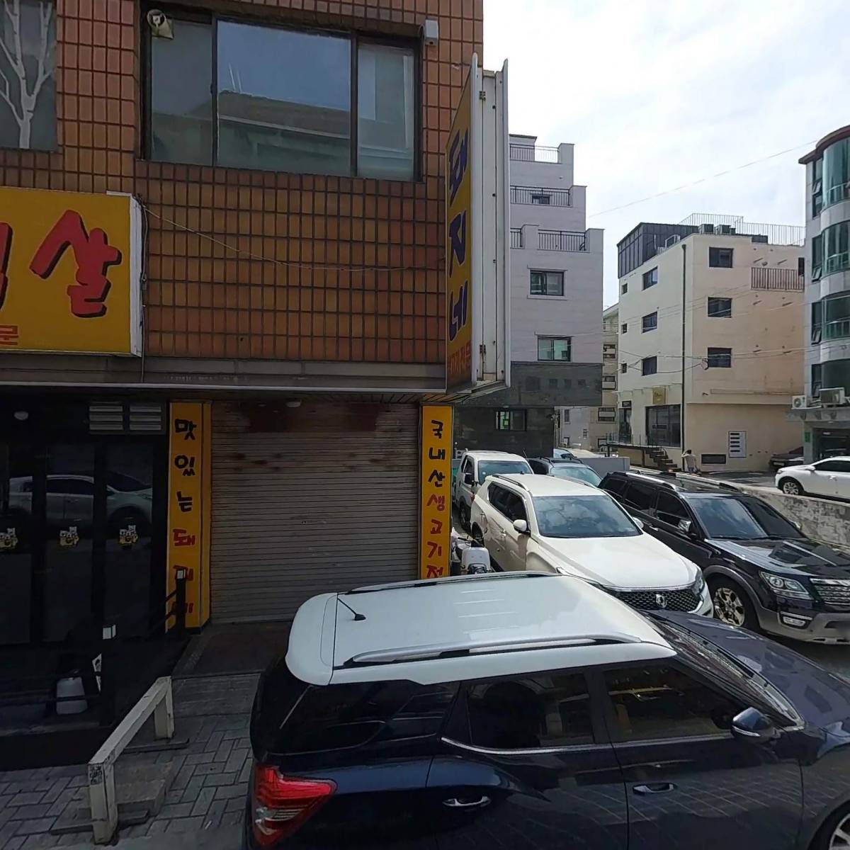 화상 손만두