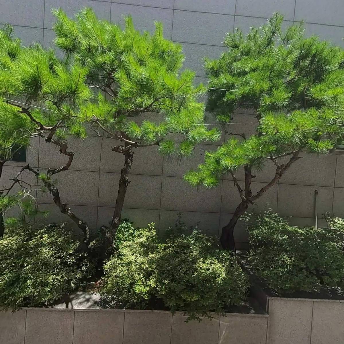 아티작