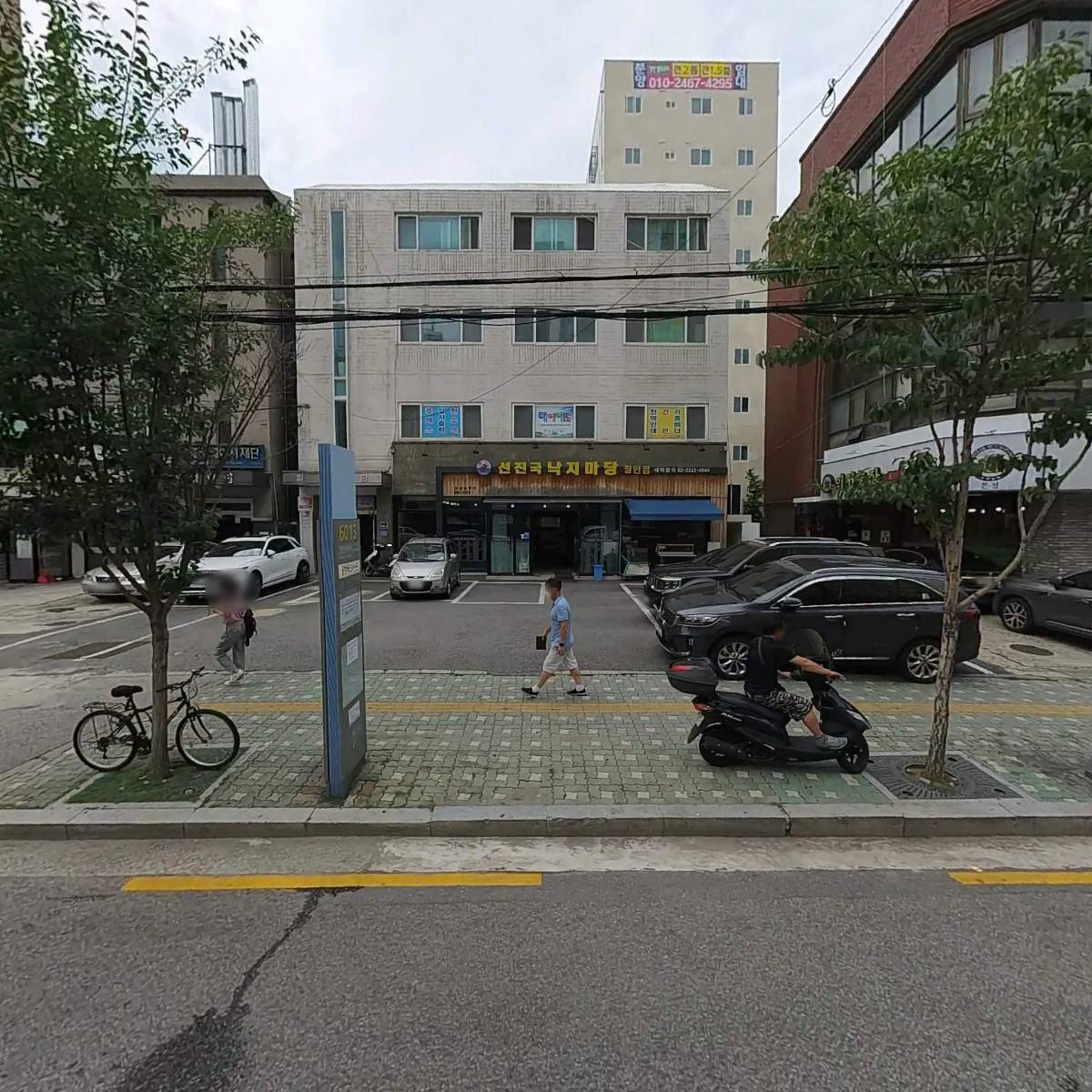 신영모피