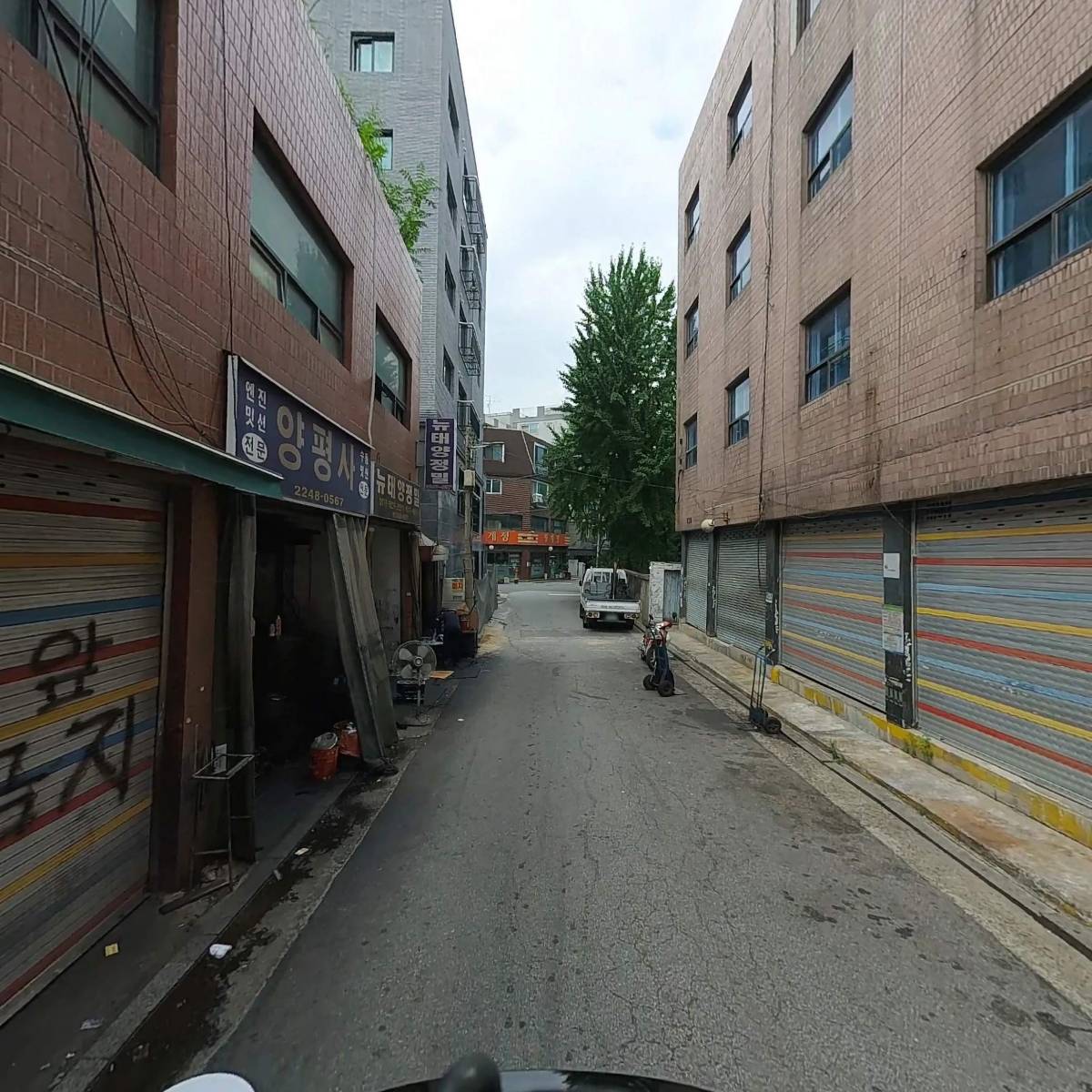 보니스_2