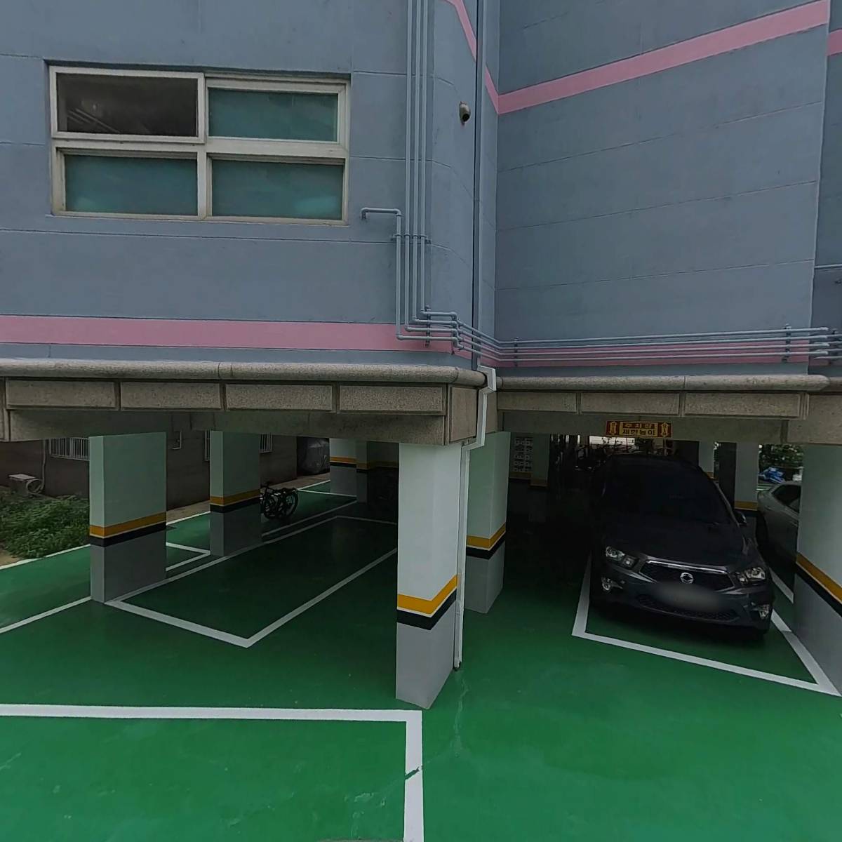 어항꾸미기