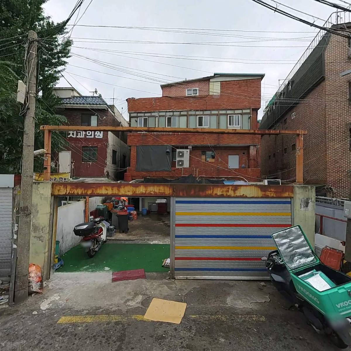뉴(new)첸