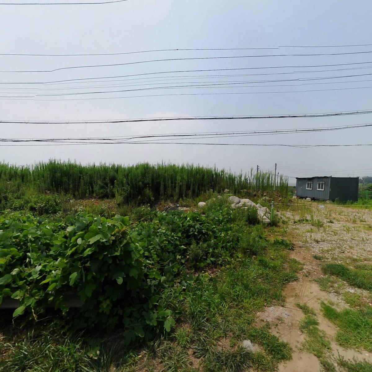 월드수산
