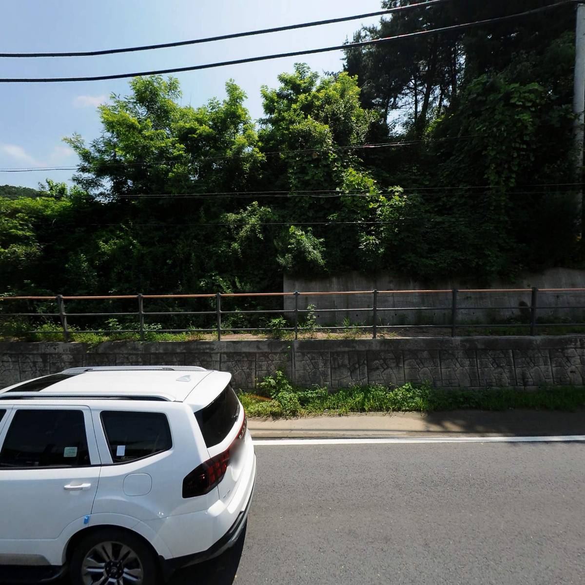김남조의 산정호수 다육이