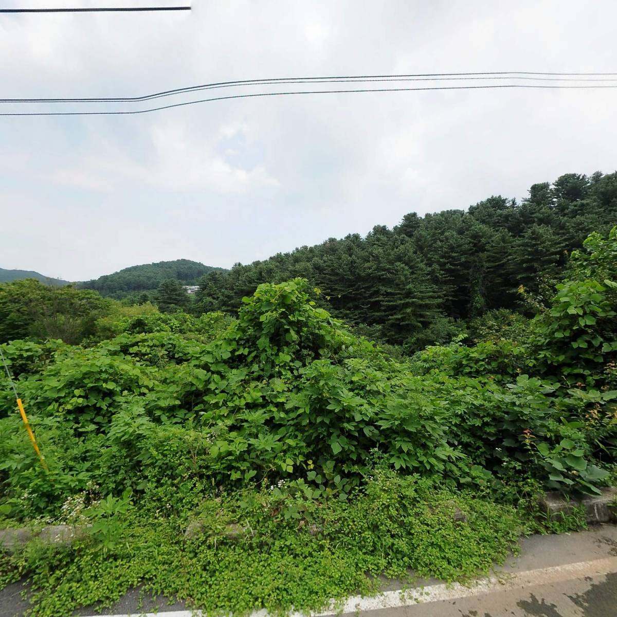 주식회사 디씨파트너스