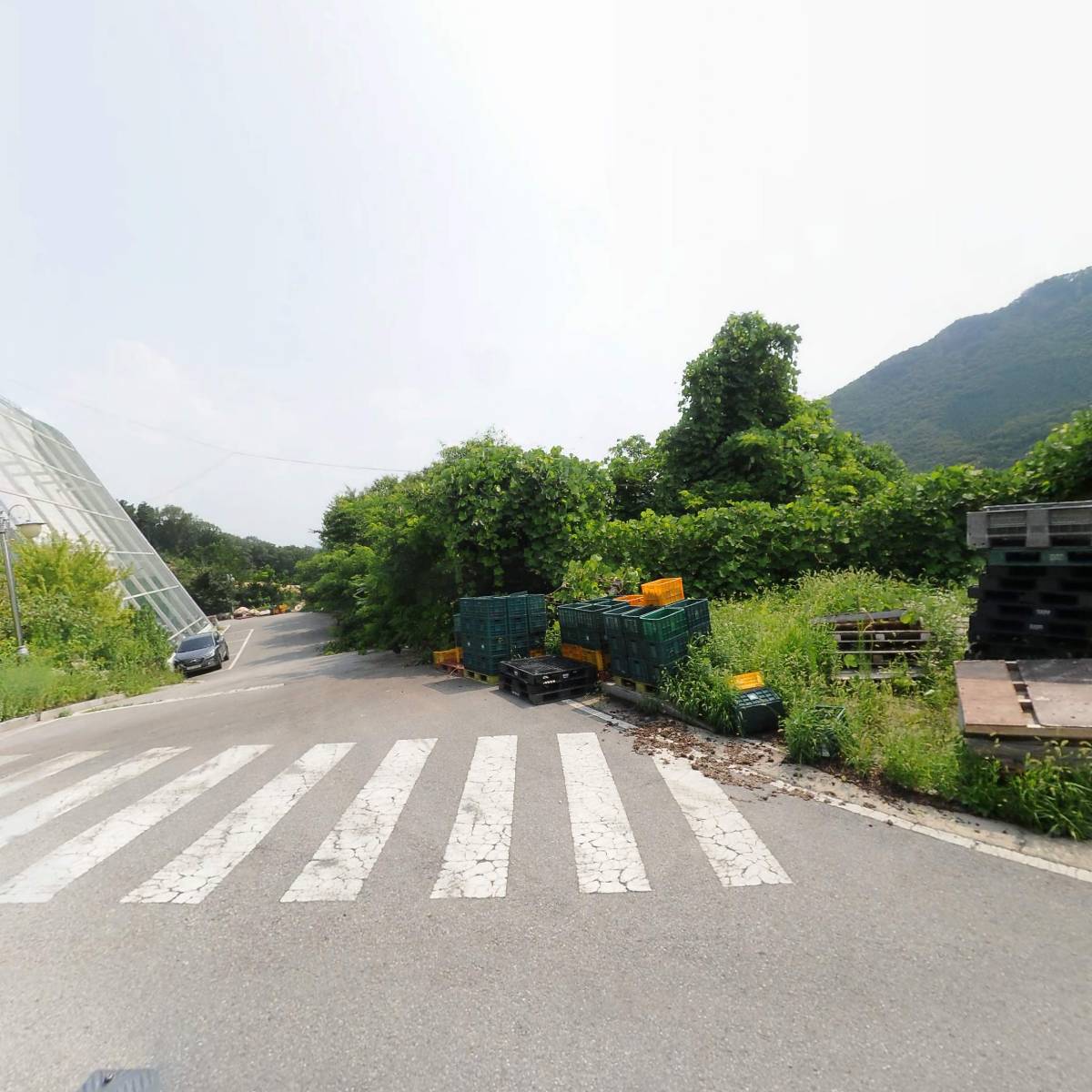 농업회사법인주식회사백산더블유