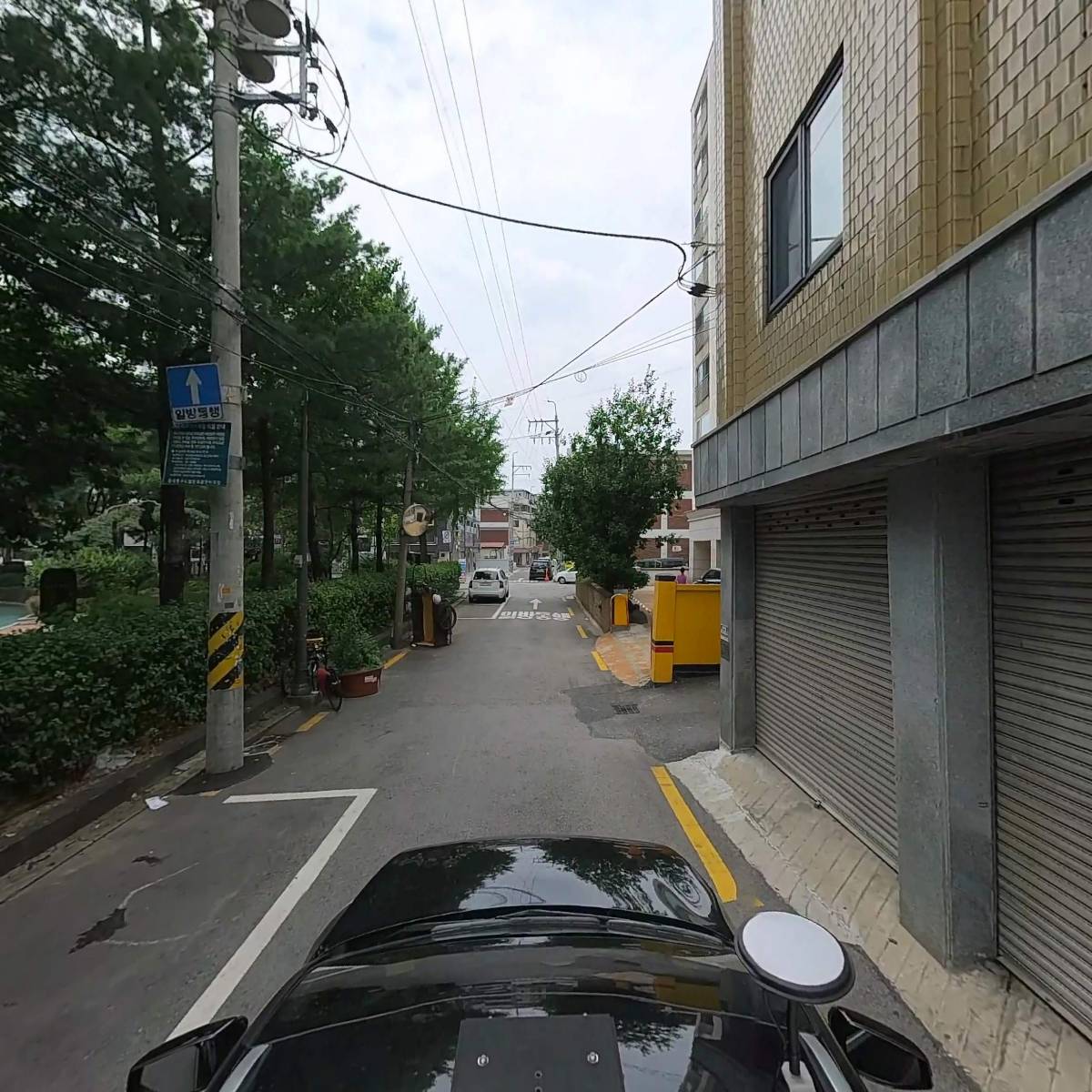대영모피_4