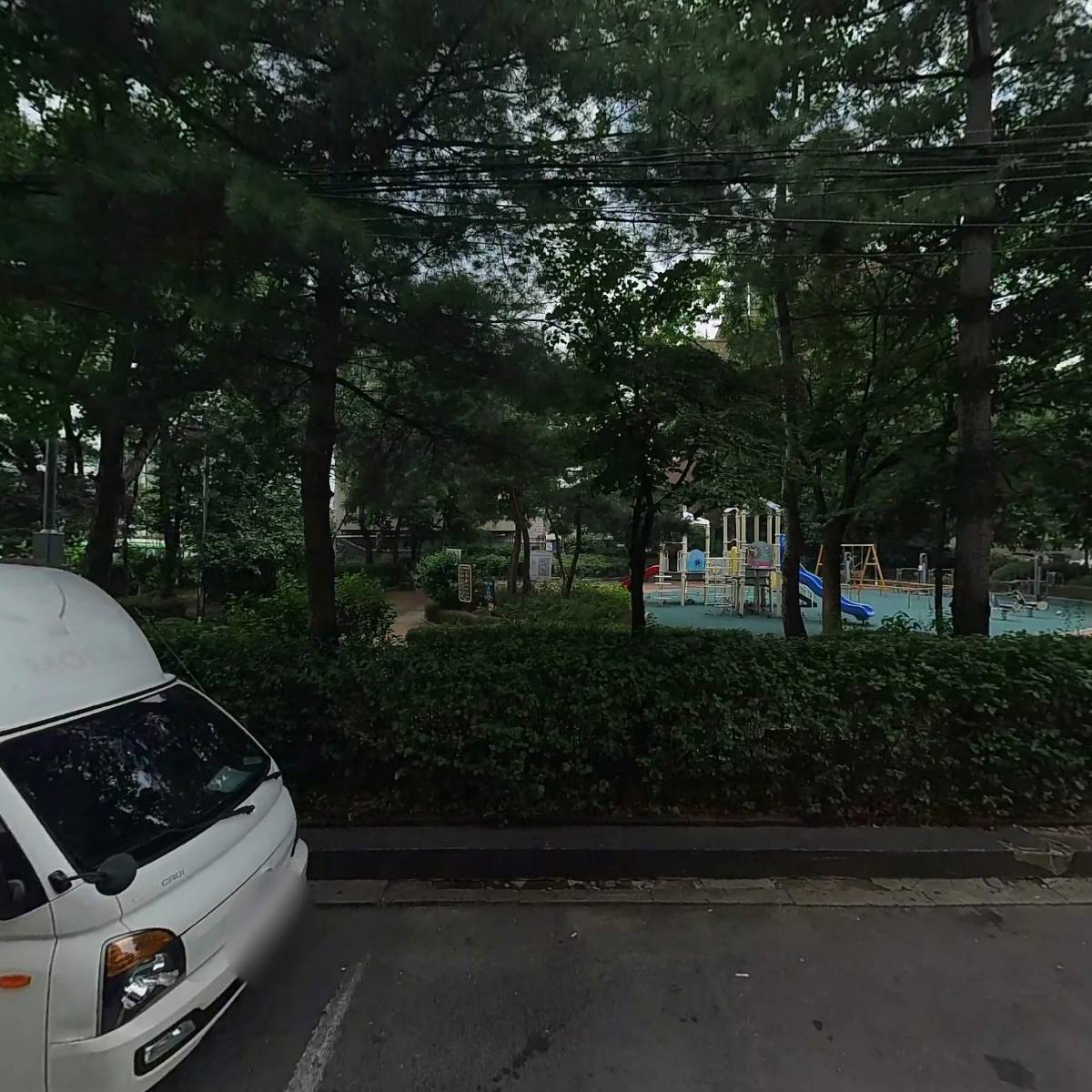 대영모피_3