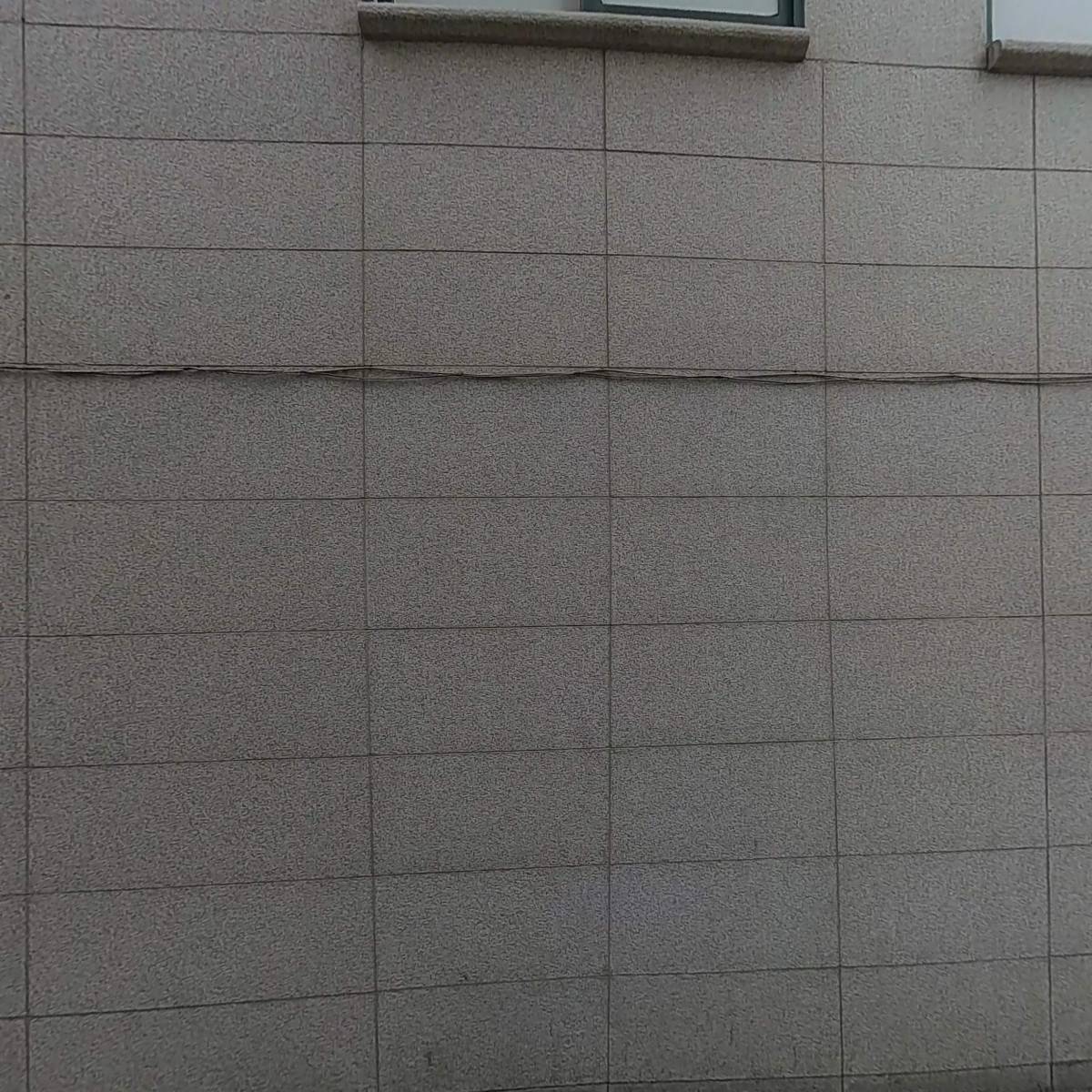 (주)오르비타