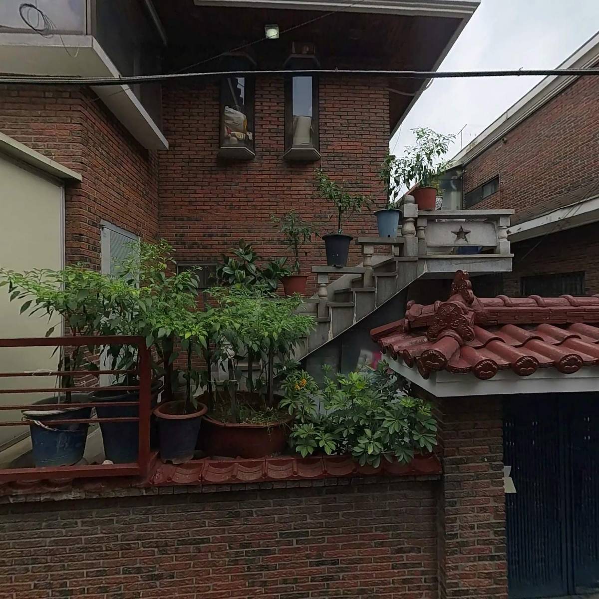 윤쿠치나