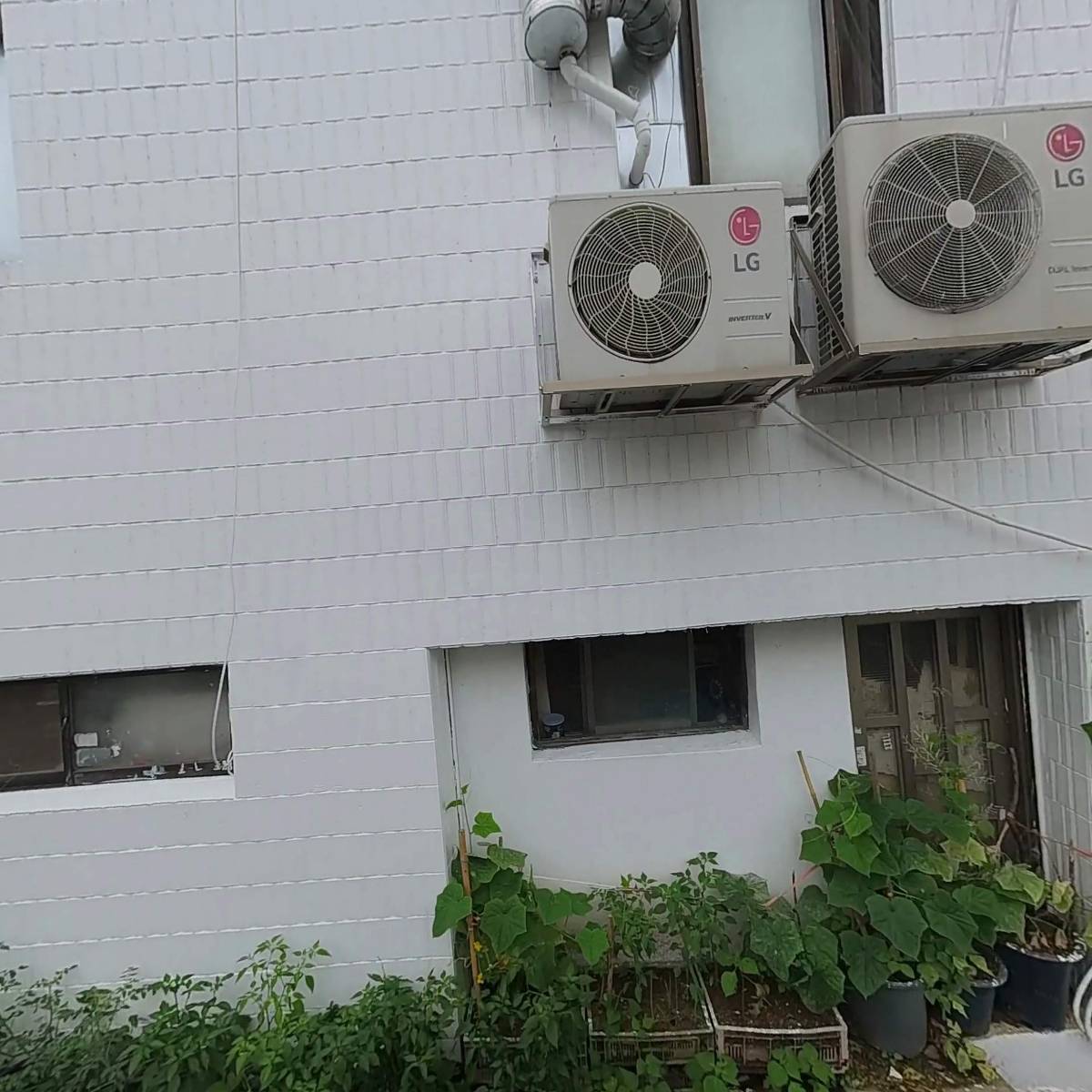 대왕유통직영셀프민물장어_3