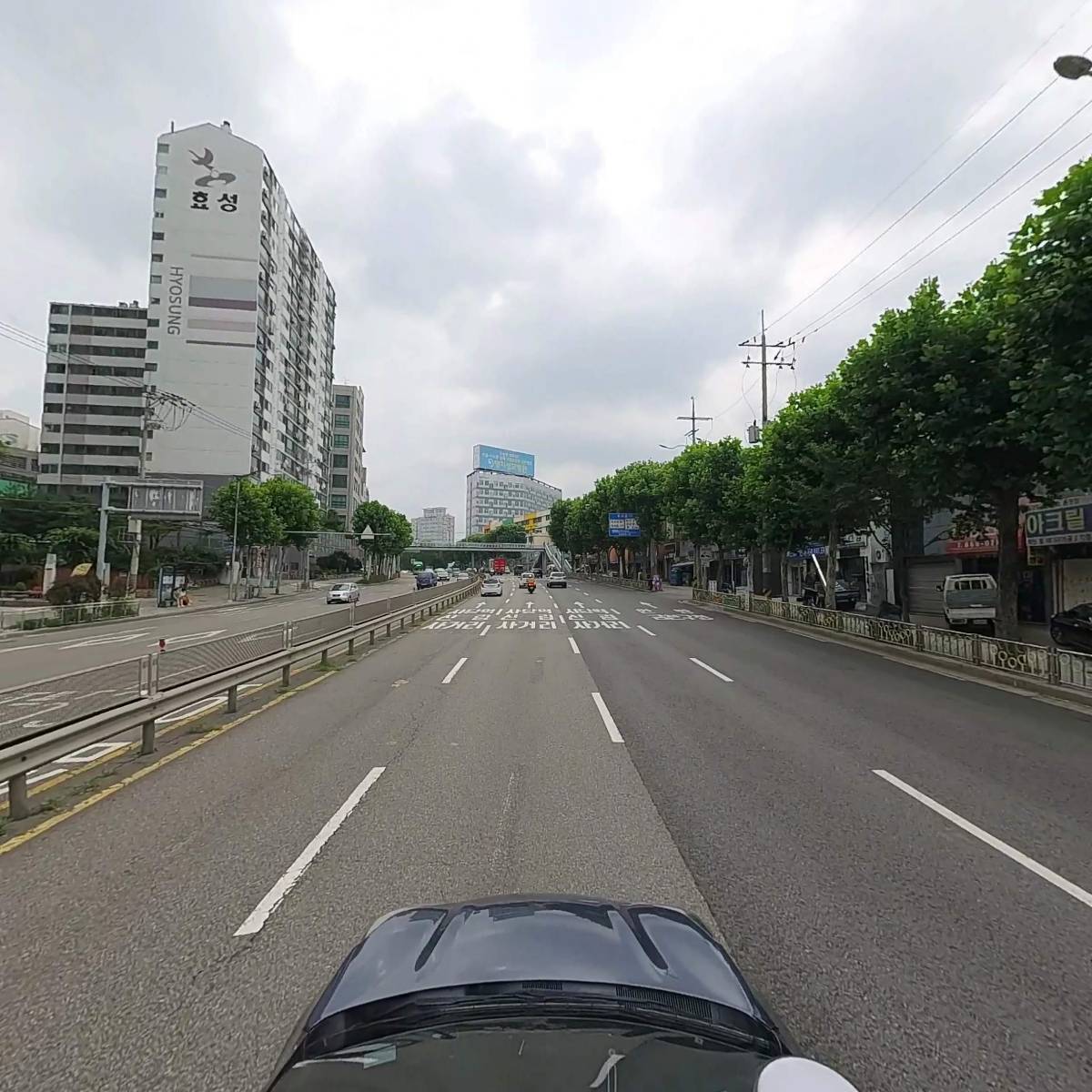 트래블벅스(travelbugs)_4