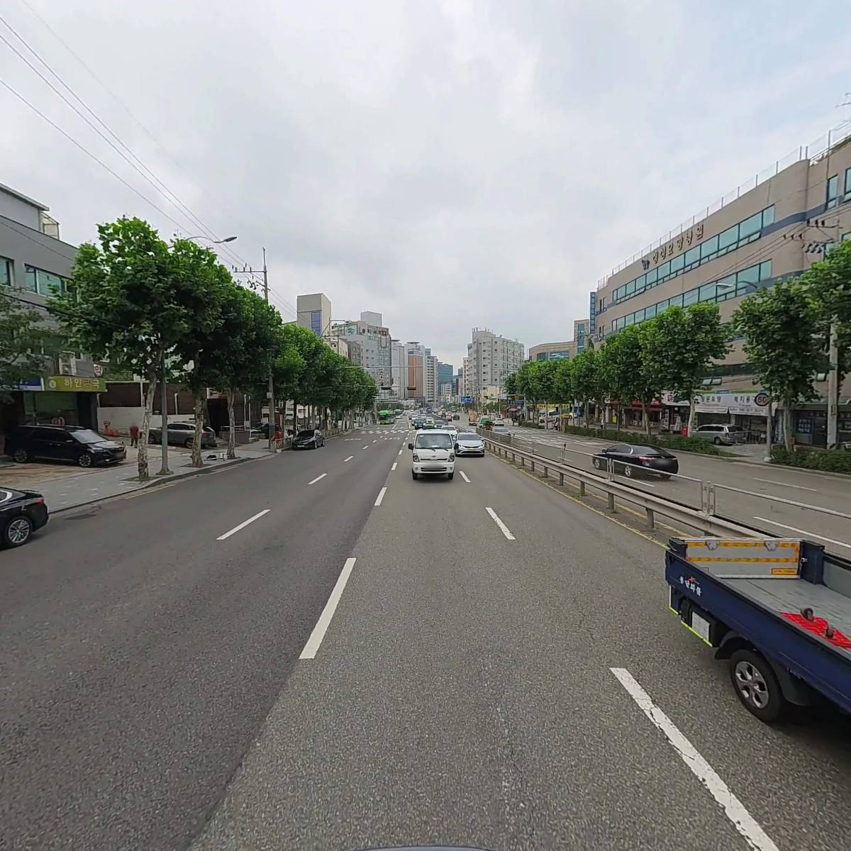 트래블벅스(travelbugs)_2
