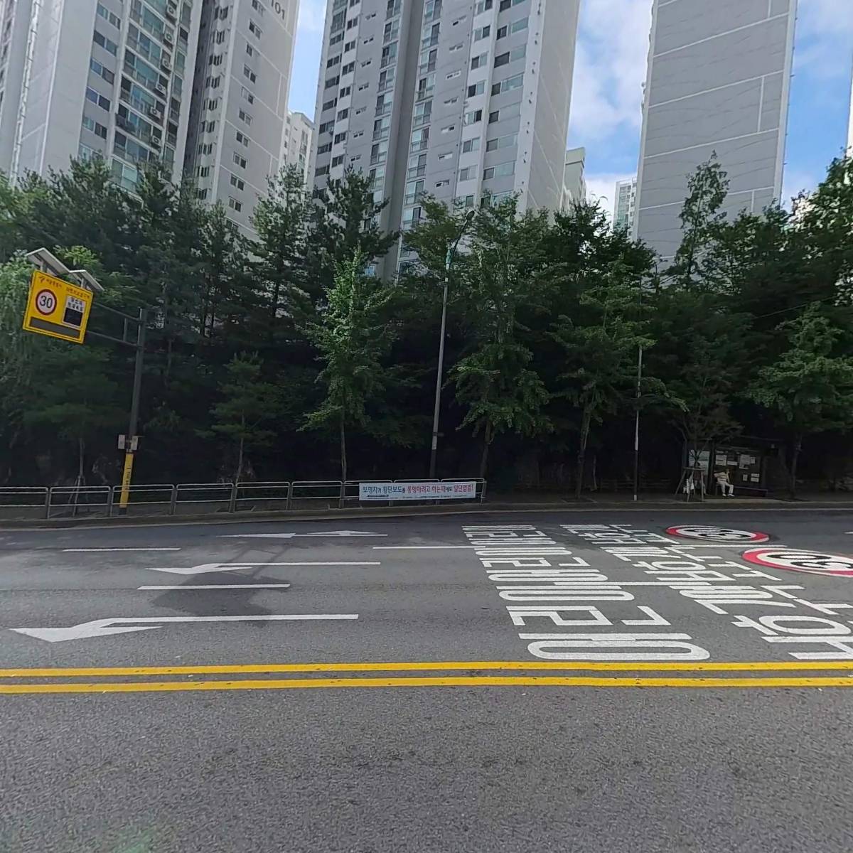세렌블룸_3