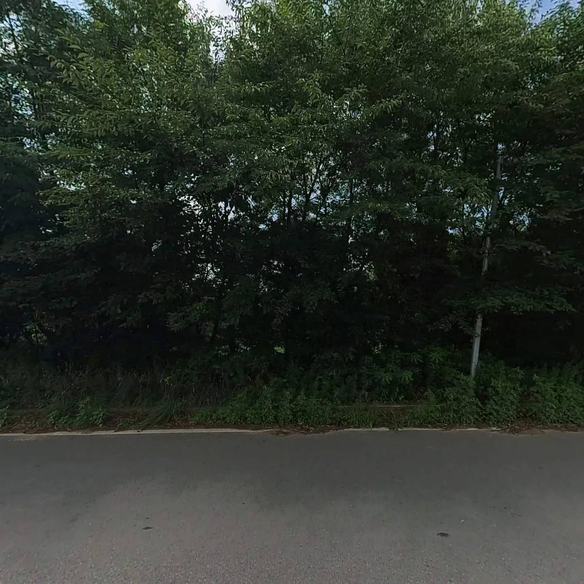 바디야건강_3