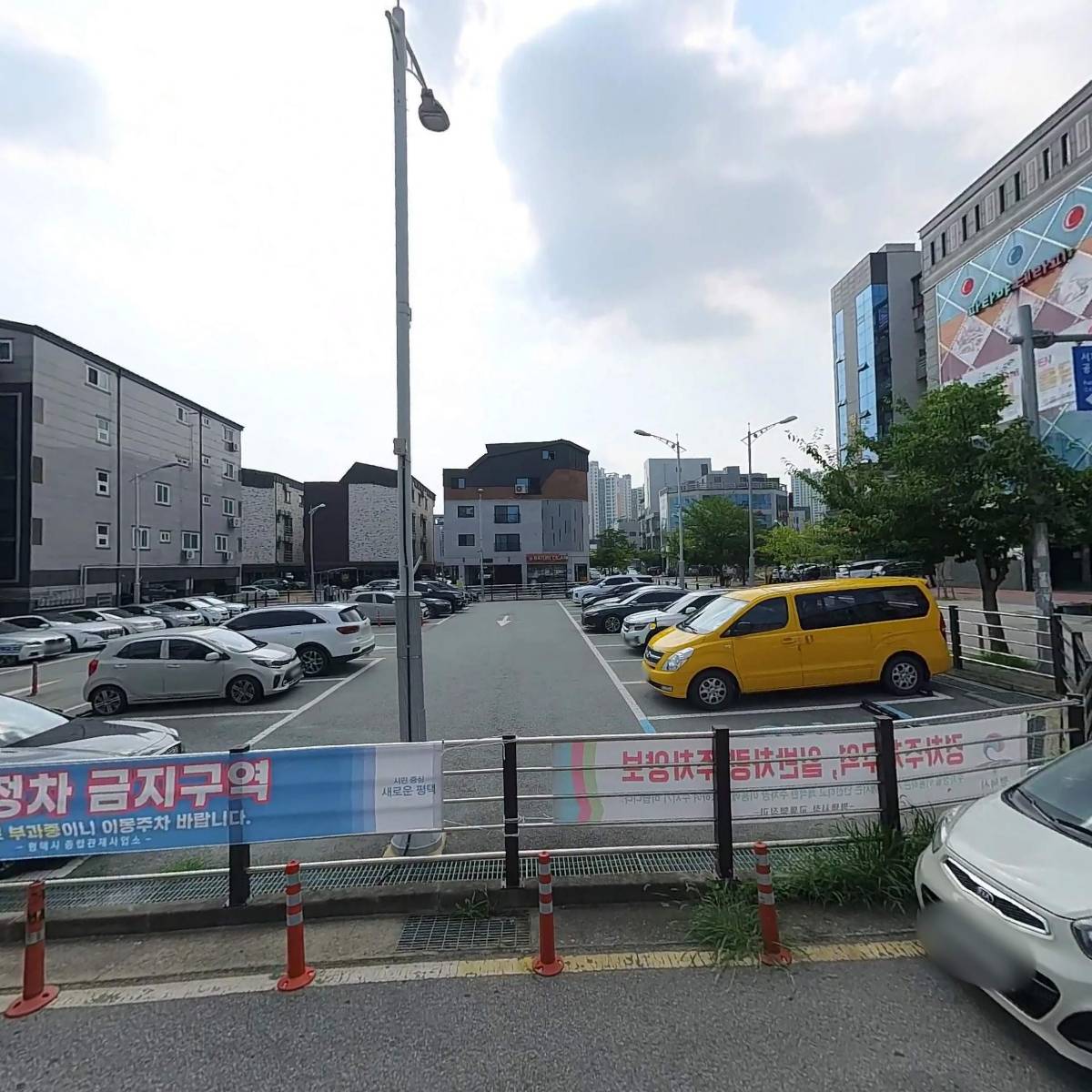 평택스파이썬팅